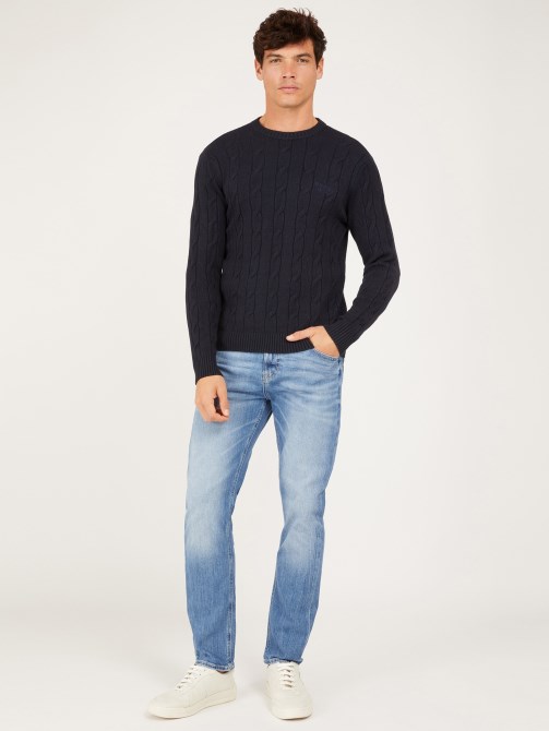 تخمين الطائر متعدد الكابلات الزرقاء