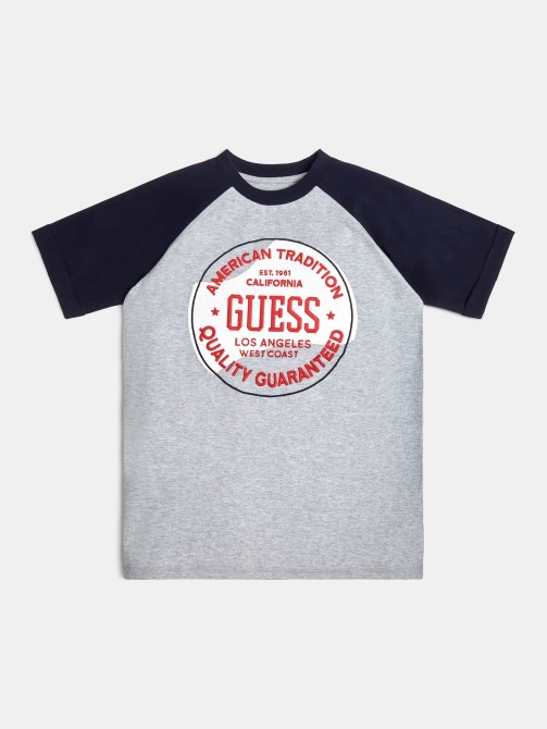 تيشيرت بشعار أمامي Guess رمادي متعدد