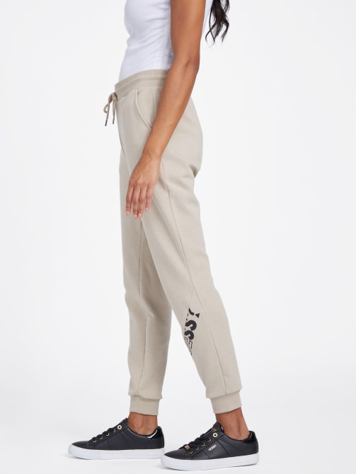 Sabrina Logo Joggers مخمل رمادي داكن تخمين
