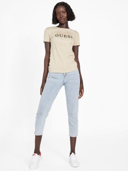 الرمال تان تخمين البيئية دريدا المحملة