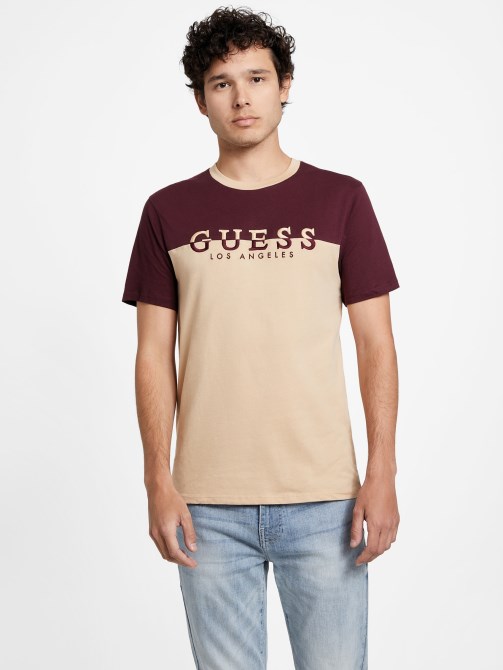 تي شيرت Davion Logo Crewneck Guess G118